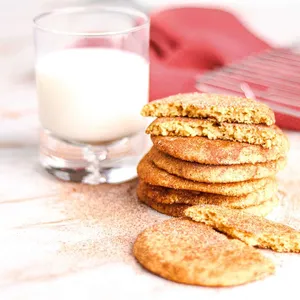 High protein snickerdoodle cookies