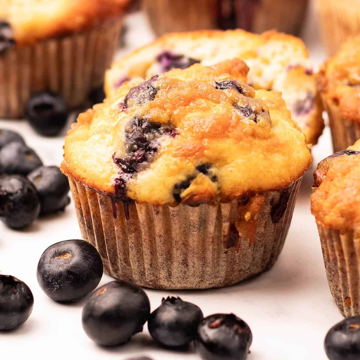 Blueberry Protein Muffin Tops